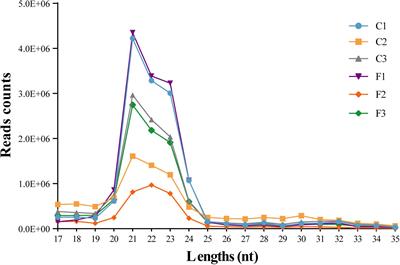 Identification and Integrated Analysis of MicroRNA and mRNA Expression Profiles During Agonistic Behavior in Chinese Mitten Crab (Eriocheir sinensis) Using a Deep Sequencing Approach